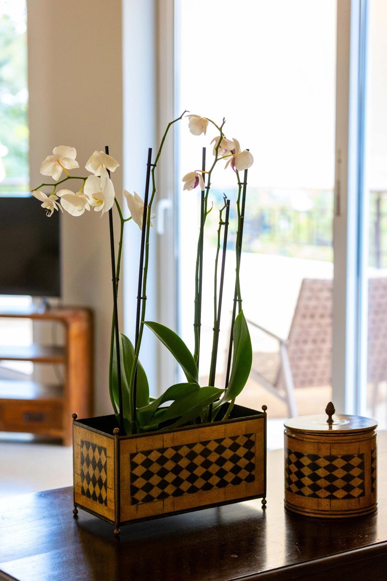 Villy'S Comfort Zone Apartments Kalamata Luaran gambar